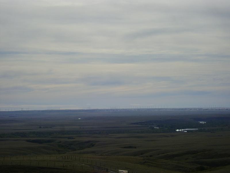 DSC03575.JPG