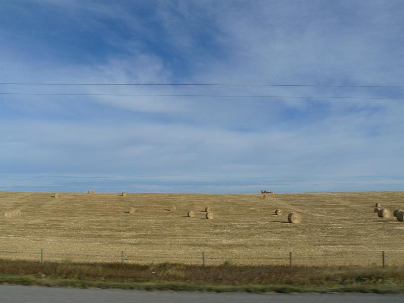 P1050417.JPG