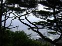 DSC03647