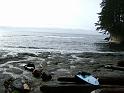 DSC03677